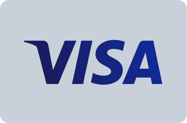 Pagos seguros online con tarjeta de crédito Visa